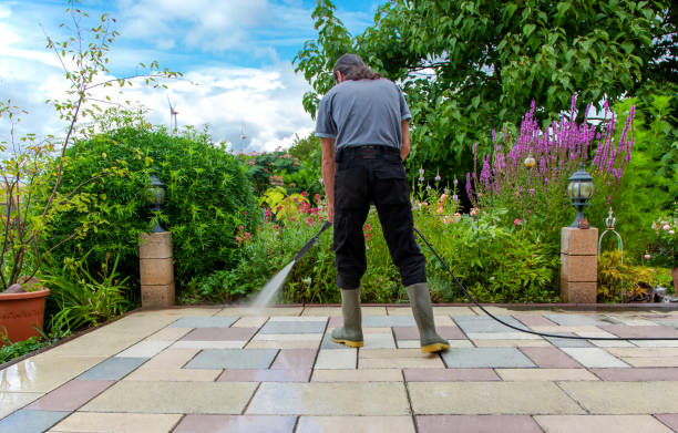 Best Dumpster Area Cleaning  in Elk Ridge, UT